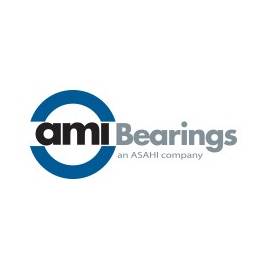 AMI AMI